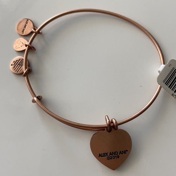 NWT Alex and Ani Love Is In The Air Charm Bracelet - Picture 3 of 3